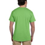 3931 kiwi back