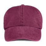 ANVIL 145 RASPBERRY FRONT