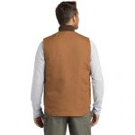 CTV01_carharttbrown_model_back_102018
